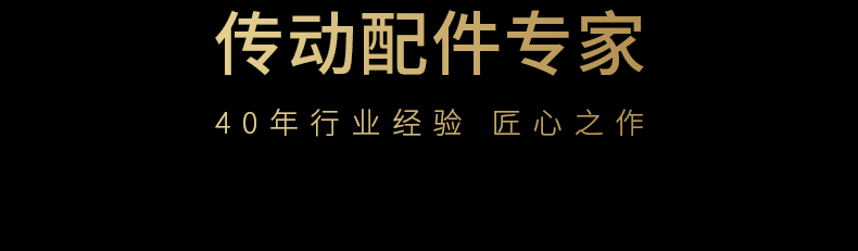 40年齒條導(dǎo)軌傳動(dòng)配件專(zhuān)家品質(zhì)保障